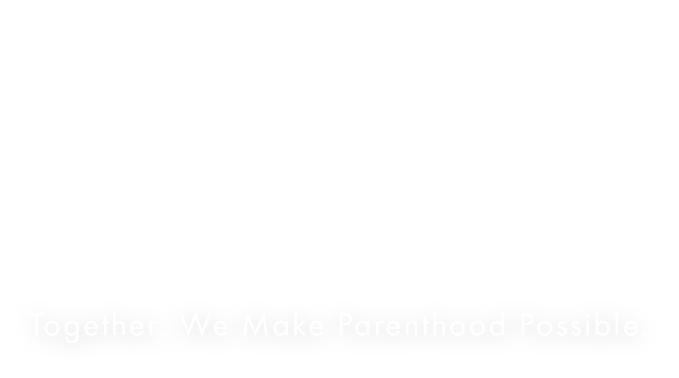 The Japan Surrogacy agency